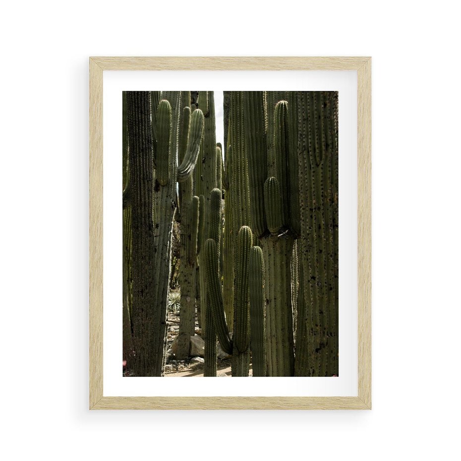 Plakat w ramie 40x50 - Wyjątkowy Klimat Boho - kaktusy, pustynia - rama drewno