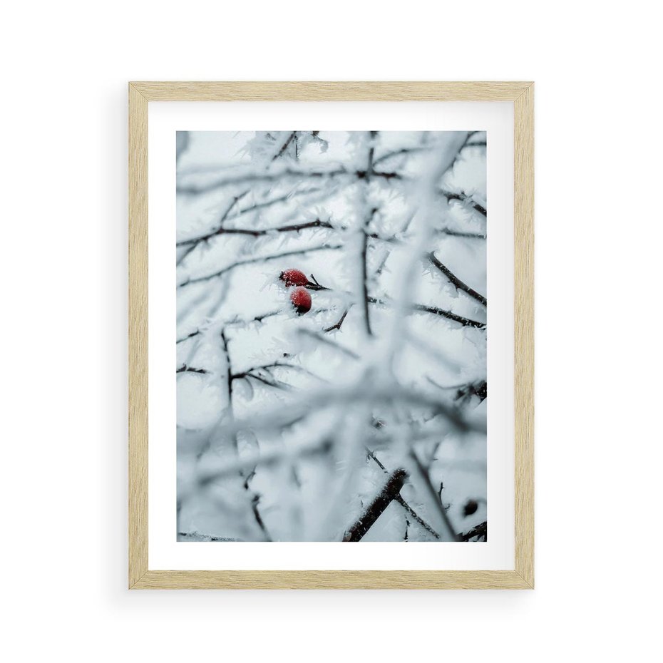 Plakat w ramie 40x50 - Zima w Detalu: Gałęzie ze Szronem i Śniegiem - śnieg, zima - rama drewno