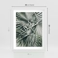 Plakat w ramie 40x50 - Palmy w Zgaszonej Zieleni - palmy, tropikalne liście - rama biała