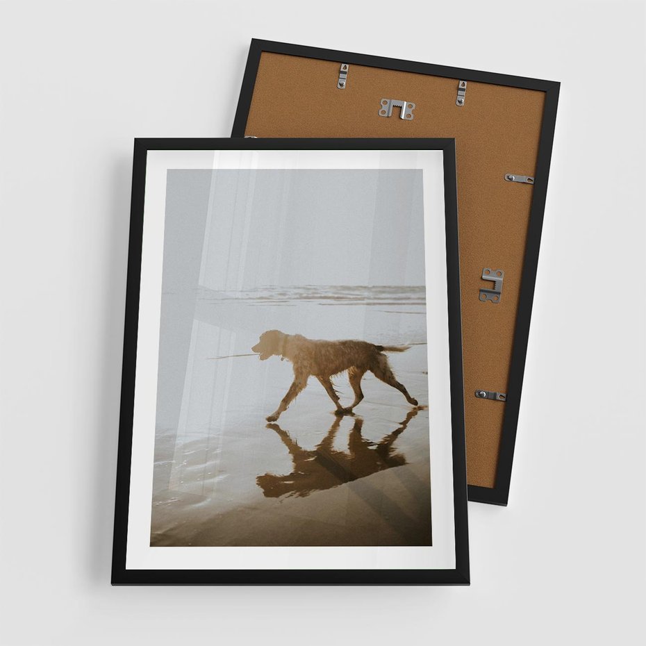 Plakat w ramie 50x70 - Przyjaciel na Plaży - pies, na plaży - rama czarna