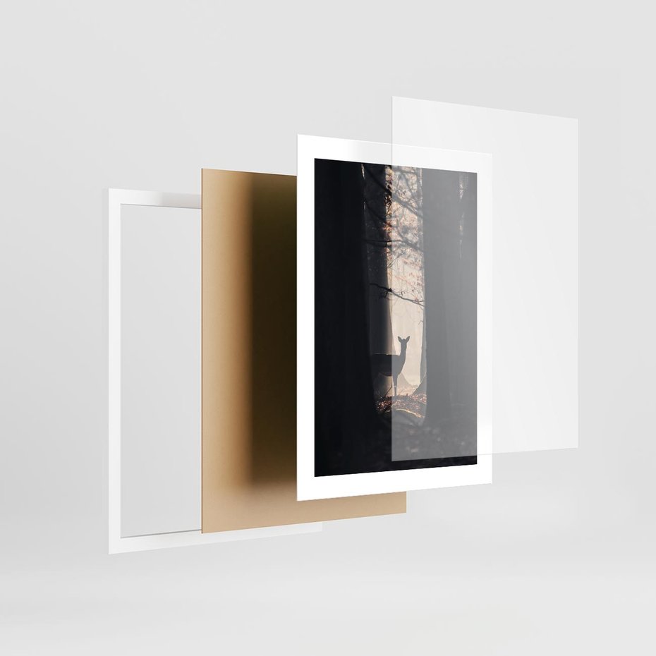 Plakat w ramie 30x40 - Sarnie Skoki - zdjęcie, klimatyczny las - rama biała