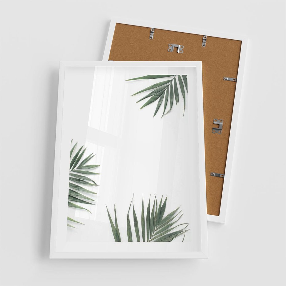 Plakat w ramie 50x70 - Liście Palmy na Czystym Tle - liście palmy, białe tło - rama biała