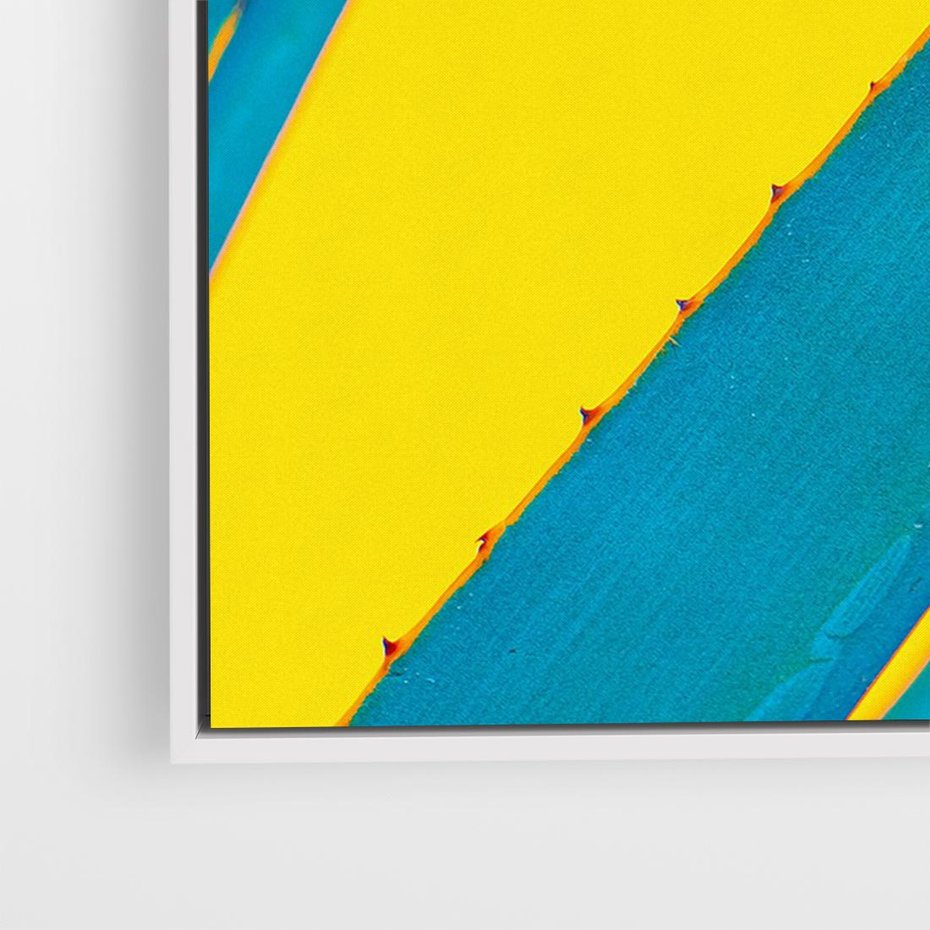 Obraz w ramie 70x50 - Świeżość Natury - aloes, liście - rama biała