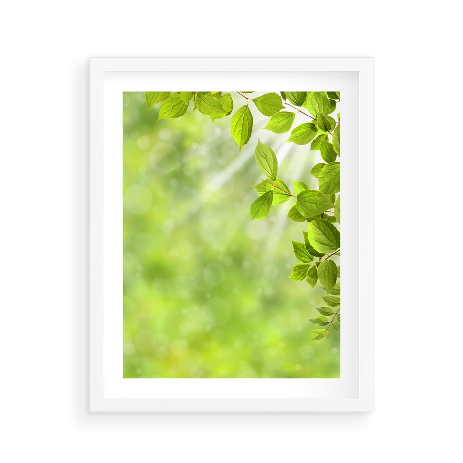 Plakat w ramie 40x50 - Zielone liście natury - liści, zieleń - rama biała