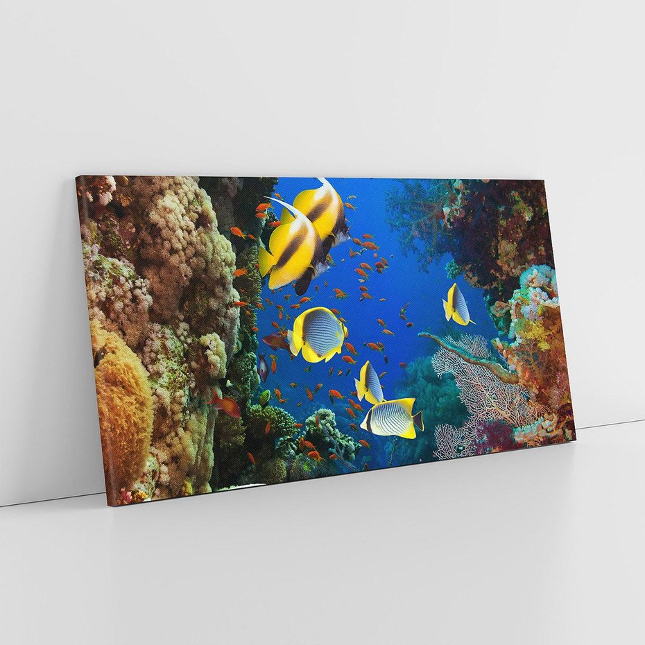 Obraz na płótnie 100x50 - Podwodne królestwo rafy koralowej - rafa, koralowa
