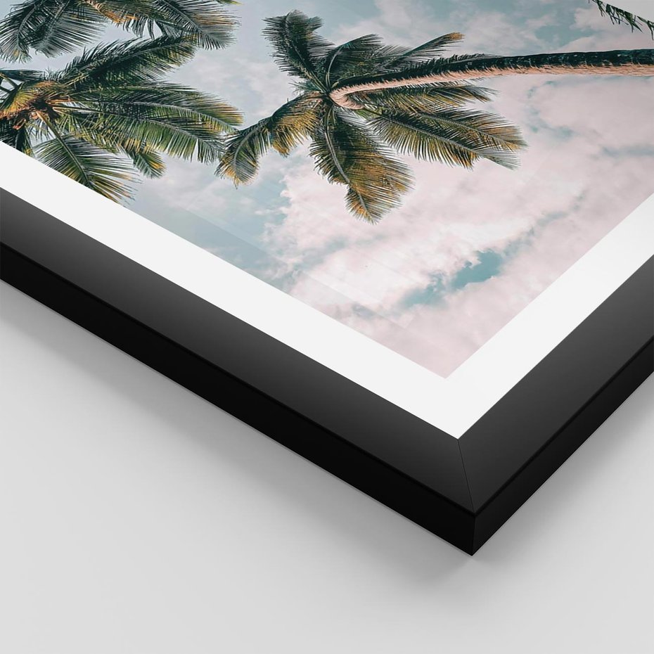 Plakat w ramie 50x70 - Wzrok ku Niebu - palmy na tle nieba, ujęcie z dołu - rama czarna
