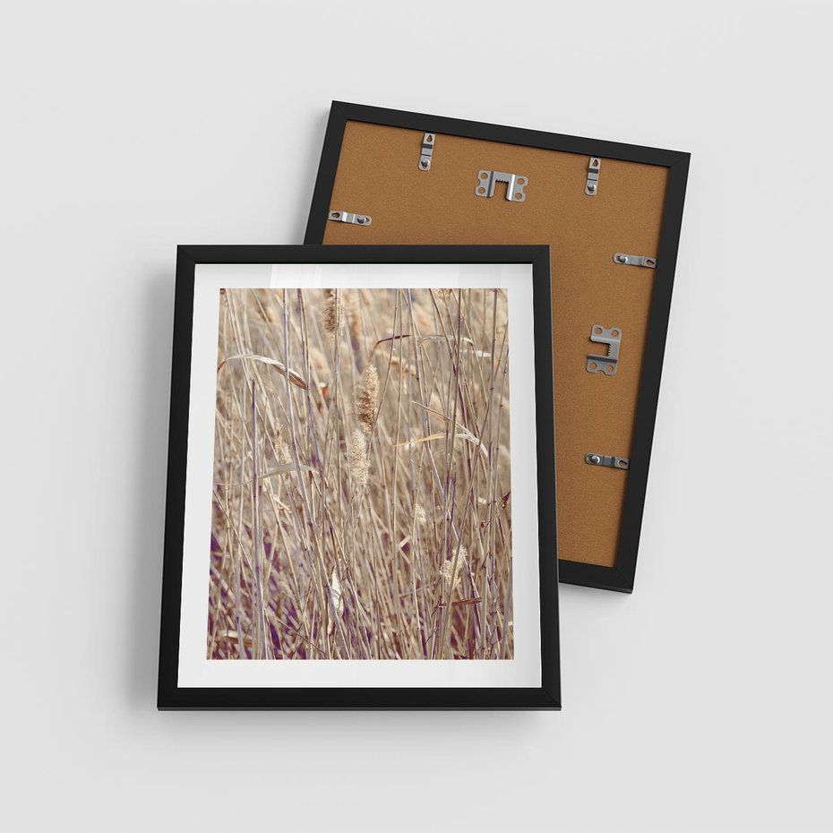 Plakat w ramie 40x50 - Suche Trawy w Wyjątkowym Stylu - suche trawy, boho styl - rama czarna