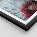 Plakat w ramie 30x40 - Dmuchawiec w Detalu - dmuchawiec, zdjęcie makro - rama czarna