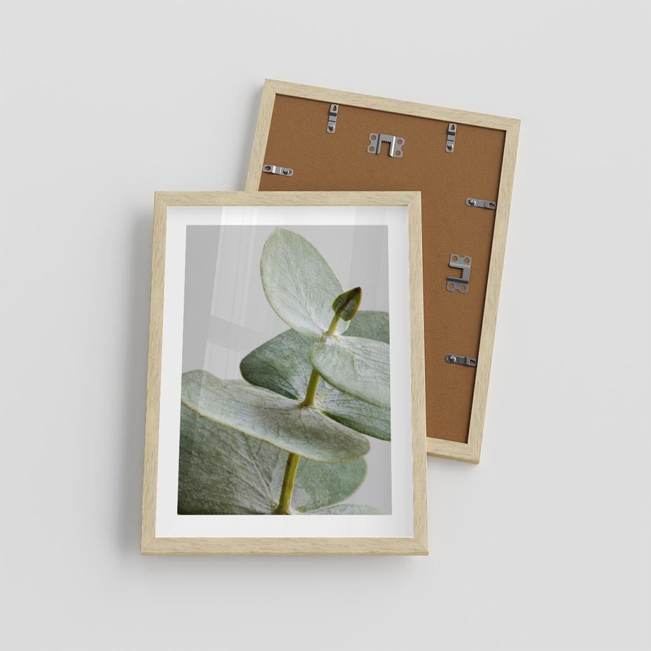 Plakat w ramie 30x40 - Eukaliptusowa zieleń - eukaliptus, zielone - rama drewno