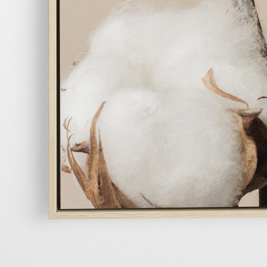 Obraz w ramie 50x70 - Bawełniana melancholia - bawełna, suche - rama drewno