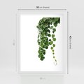 Plakat w ramie 30x40 - Świeżość Natury - liście, zielone - rama biała