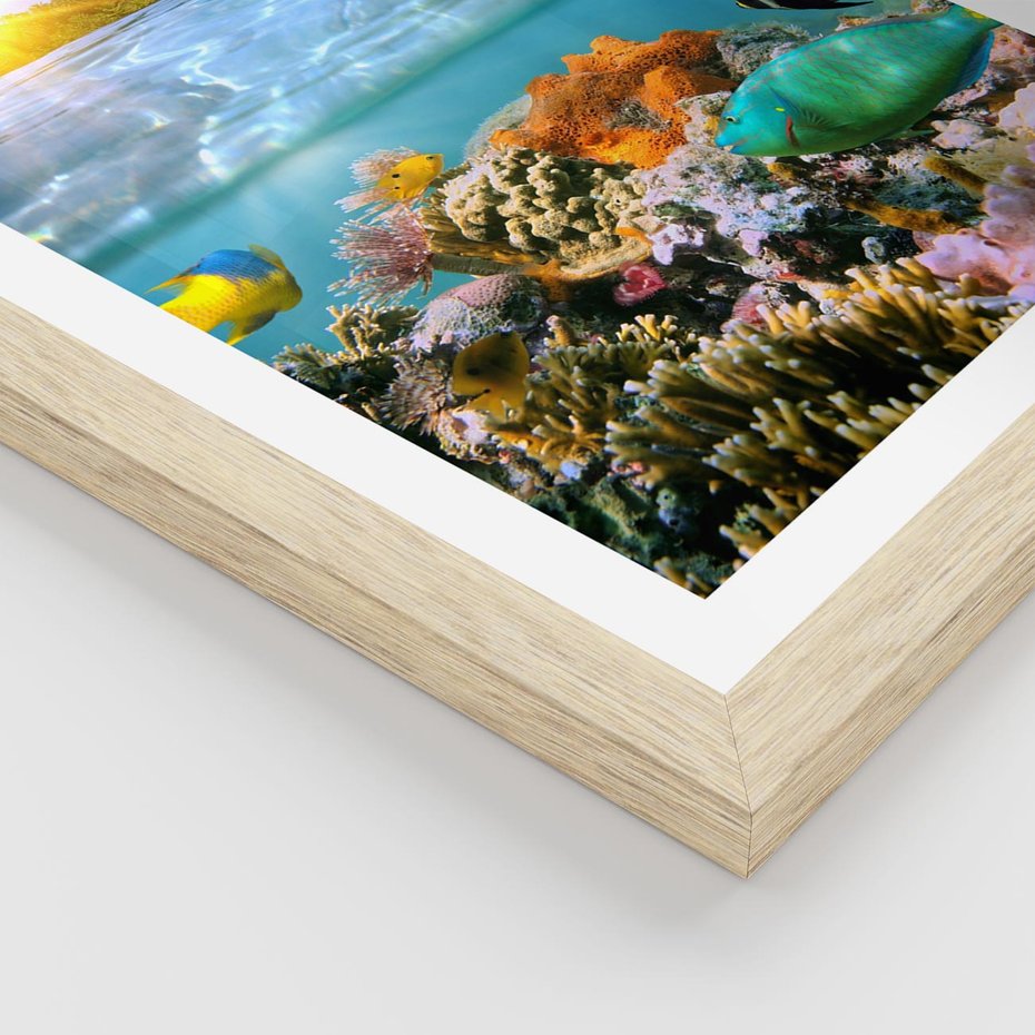 Plakat w ramie 30x40 - Rafa Koralowa - Podwodne Cuda - rafa, koralowa - rama drewno