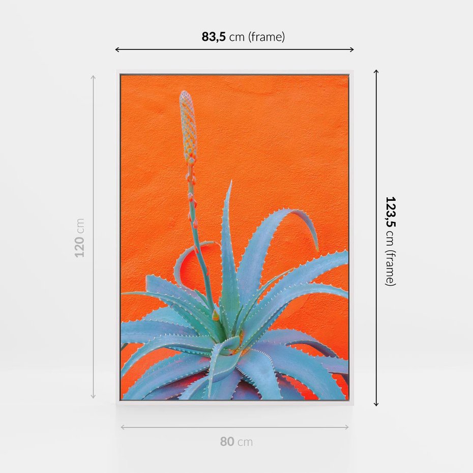 Obraz w ramie 80x120 - Naturalna Harmonia - kaktusy, liście - rama biała