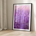 Plakat bez ramy 21x30 - Fioletowa harmonia lawendy - lawenda, fiolet