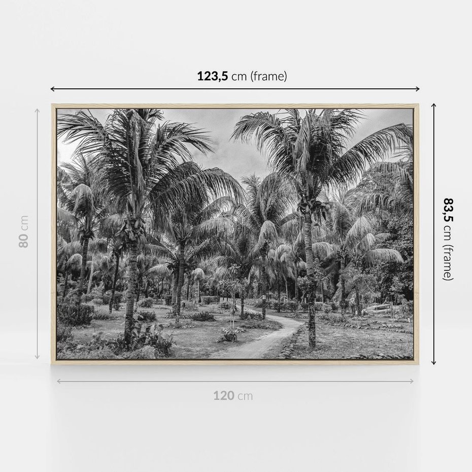 Obraz w ramie 120x80 - Mroczna Ścieżka Tropików - czarno biała fotografia, ścieżka pośród palm - rama drewno