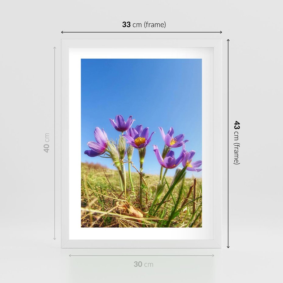 Plakat w ramie 30x40 - Kwiatowa siła łąki - kwiaty, łąka - rama biała