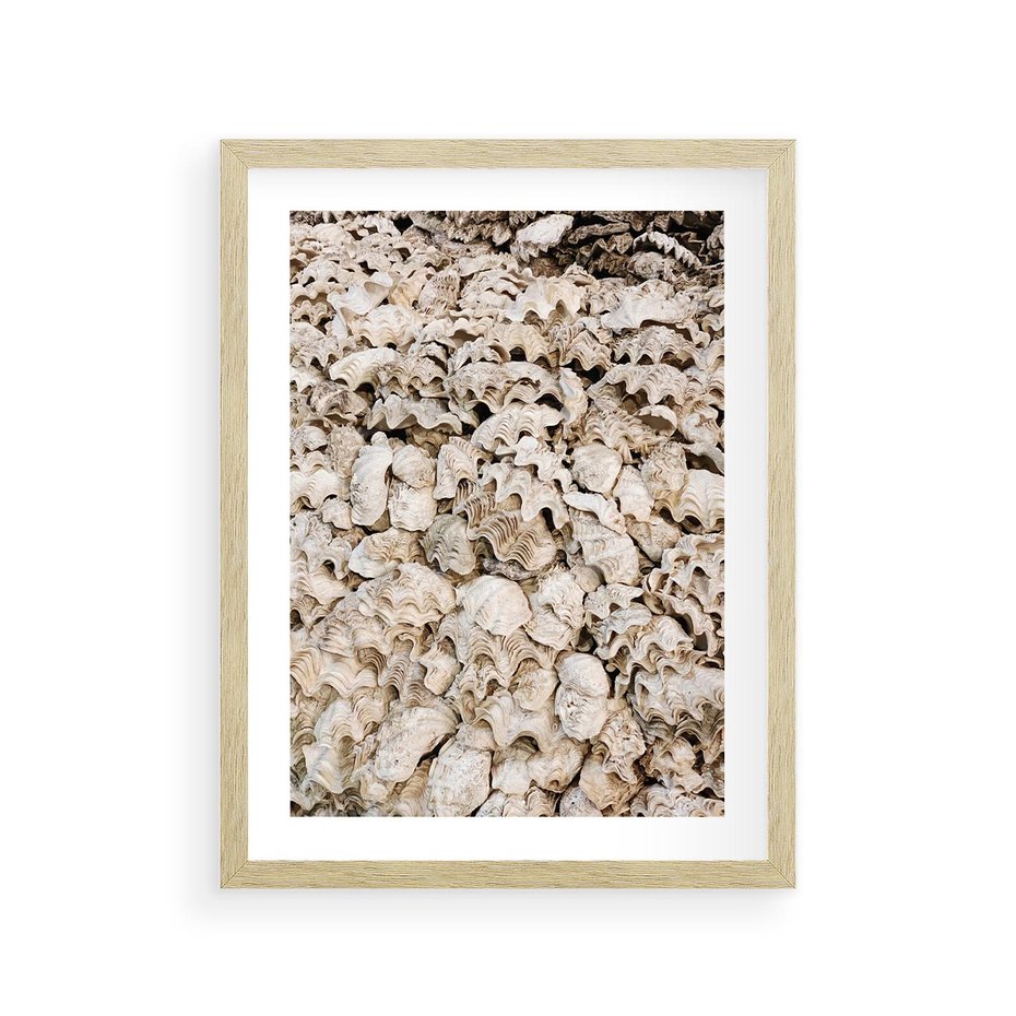 Plakat w ramie 30x40 - Symfonia Natury - kompozycja z białych muszli - rama drewno