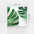 Obraz w ramie 50x50 - Monstera - Liście Kwiaty - monstera, liście - rama biała