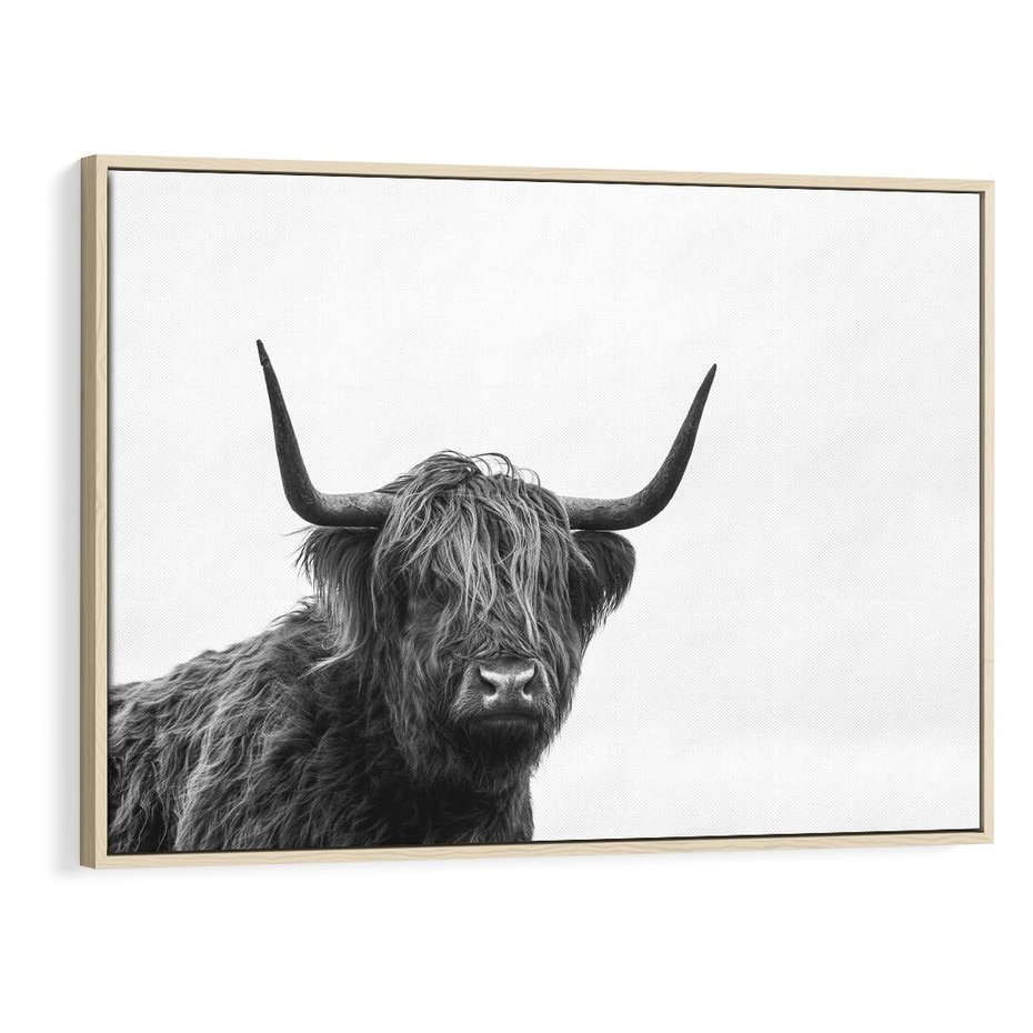 Obraz w ramie 70x50 - Moc i Spokój - amerykańskie bydło, byk - rama drewno