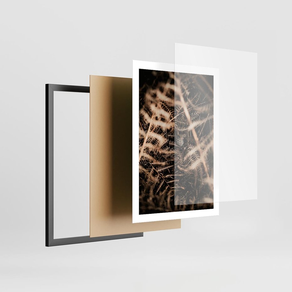 Plakat w ramie 50x70 - Liście i Paprocie - suche liście, paprocie - rama czarna