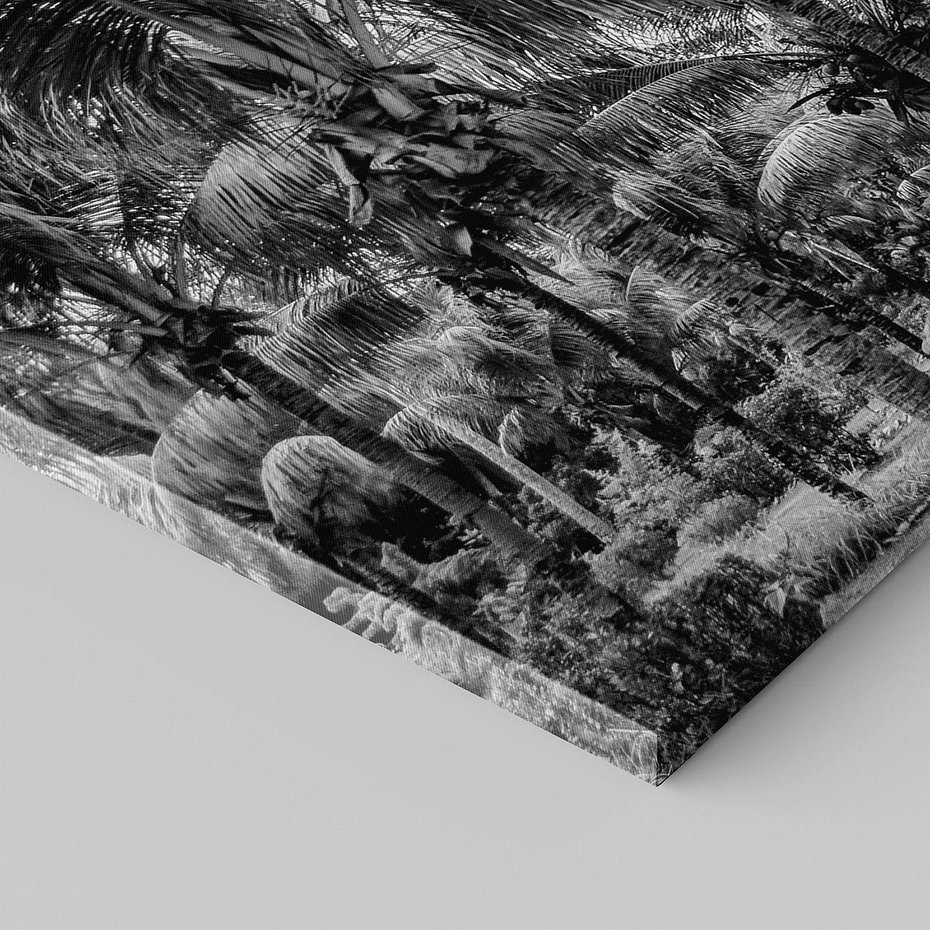 Obraz na płótnie 120x60 - Mroczna Ścieżka Tropików - czarno biała fotografia, ścieżka pośród palm