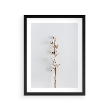 Plakat w ramie 40x50 - Minimalistyczna Gałązka Bawełny - bawełna, gałązka bawełny - rama czarna