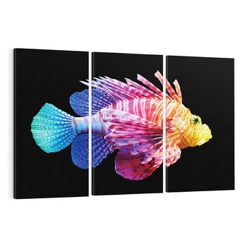 Obraz na płótnie 120x80 - Tęczowa Piękność - kolorowa tęczowa ryba, mocny akcent na czarnym tle