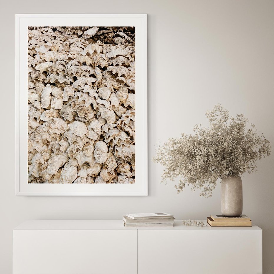 Plakat w ramie 30x40 - Symfonia Natury - kompozycja z białych muszli - rama biała