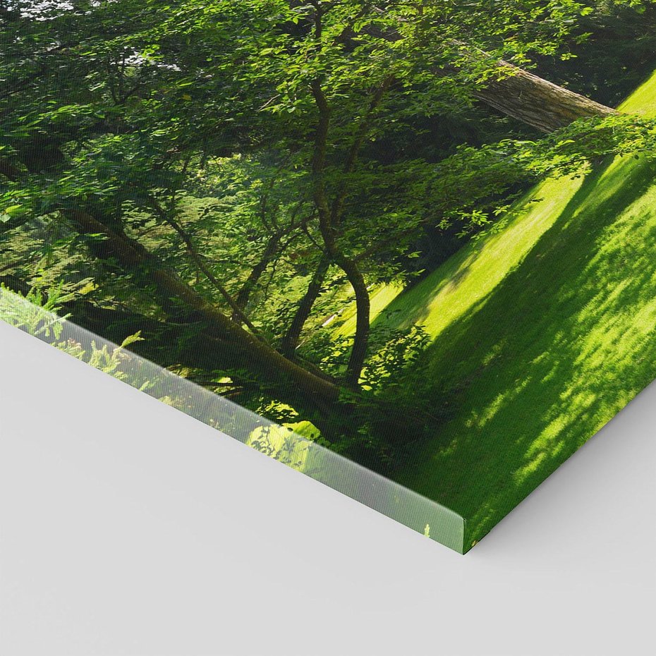 Obraz na płótnie 120x80 - Ogród: urok drzew i roślinności - ogród, drzewa