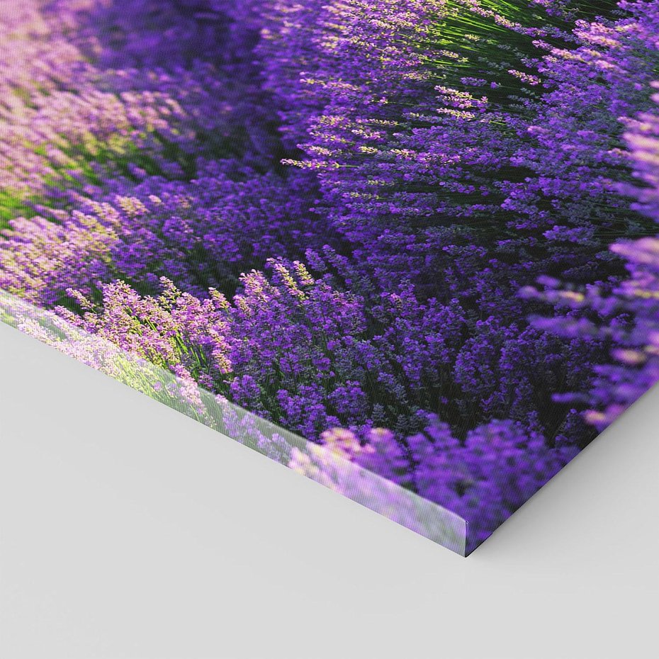 Obraz na płótnie 100x70 - Malownicze Pole Lawendy - lawenda, pole