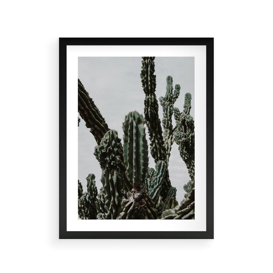 Plakat w ramie 30x40 - Boho oaza wśród kaktusów - kaktusy, pustynia - rama czarna