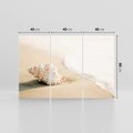 Obraz na płótnie 120x80 - Urok plażowej muszelki - fotografia, muszla na plaży