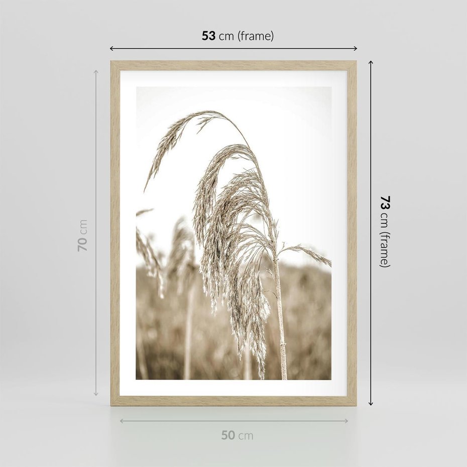 Plakat w ramie 50x70 - Ujęcie Suchych Traw - suche trawy, zbliżenie - rama drewno