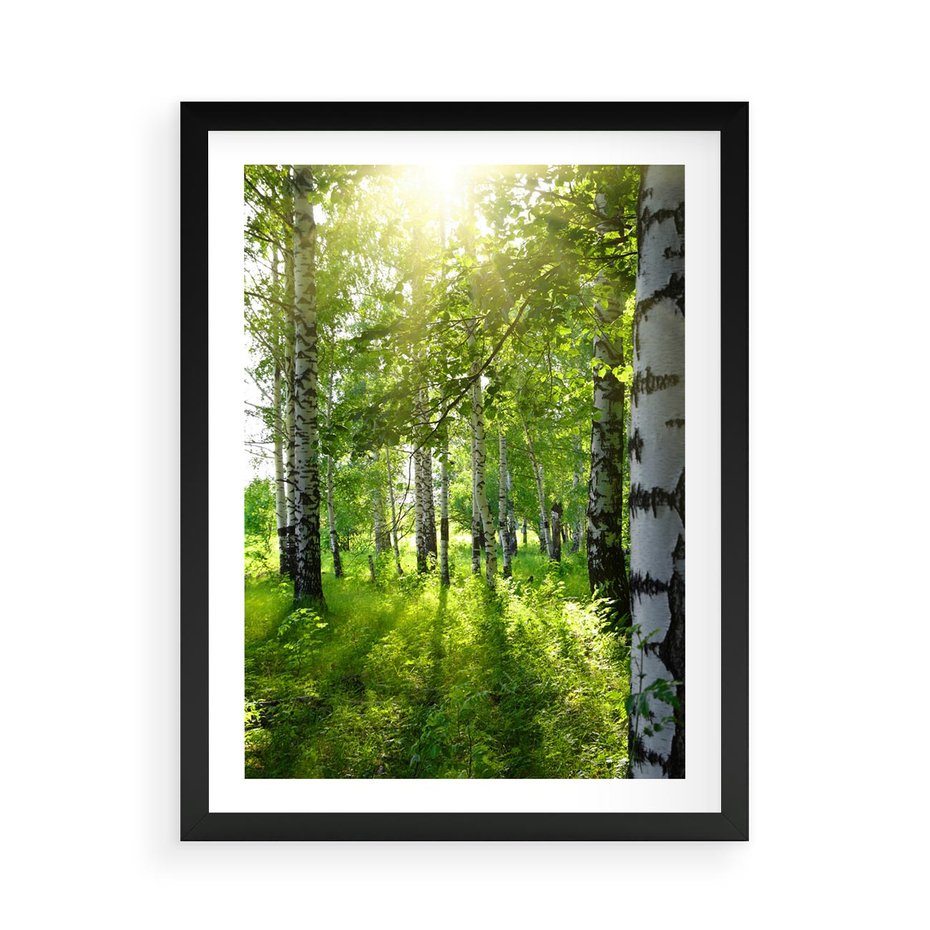 Plakat w ramie 50x70 - Lasowa Księżycowa Noc - las, drzewa - rama czarna