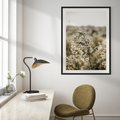 Plakat bez ramy 30x40 - Pampas i Bocho - suche trawy, bocho