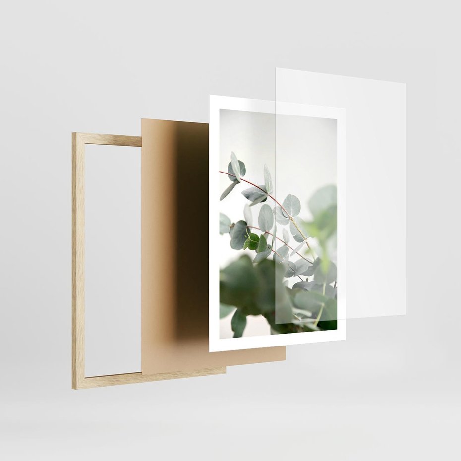 Plakat w ramie 50x70 - Zielony Świat Eukaliptusa - eukaliptus, fotografia - rama drewno