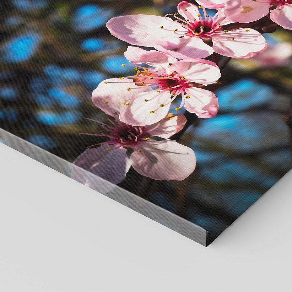 Obraz na płótnie 70x70 - Kwiatowe piękno w pełnym rozkwicie - kwiat, kwiaty