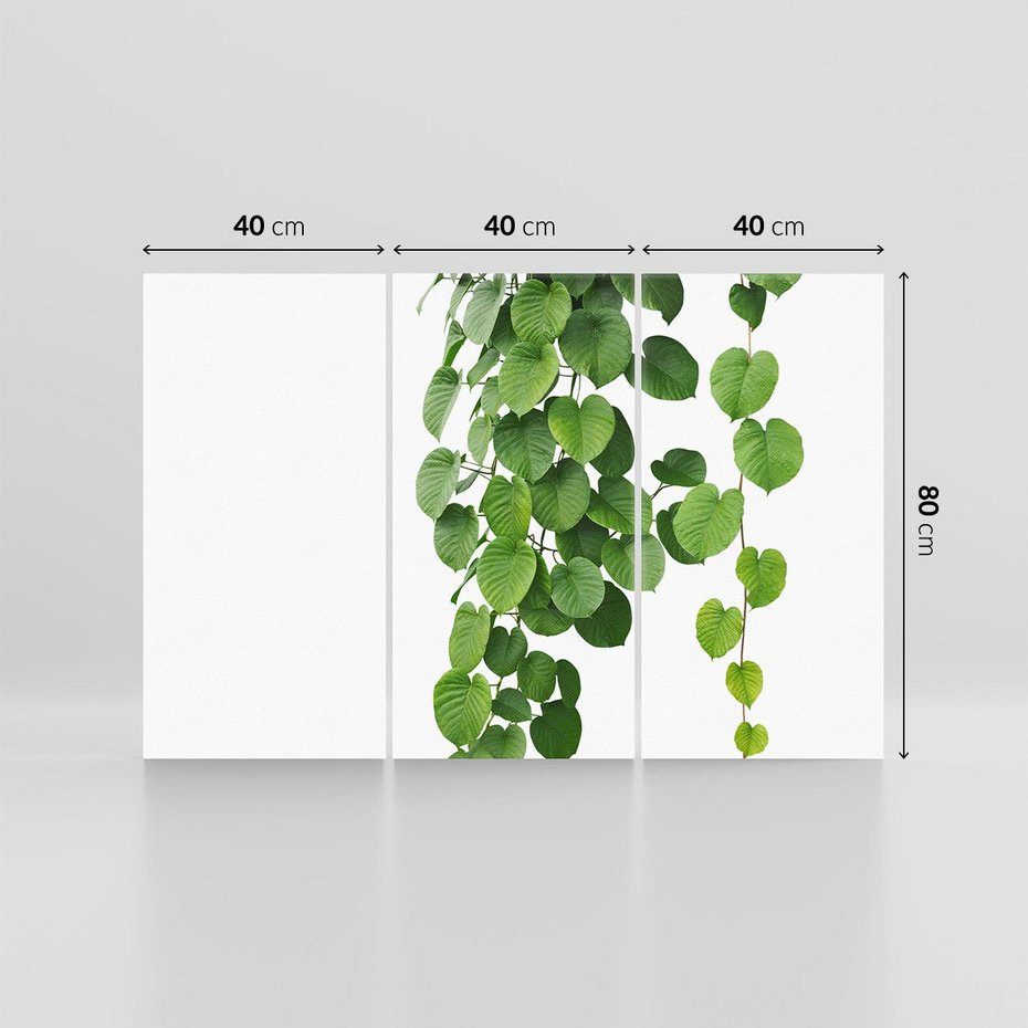 Obraz na płótnie 120x80 - Świeżość Natury - liście, zielone