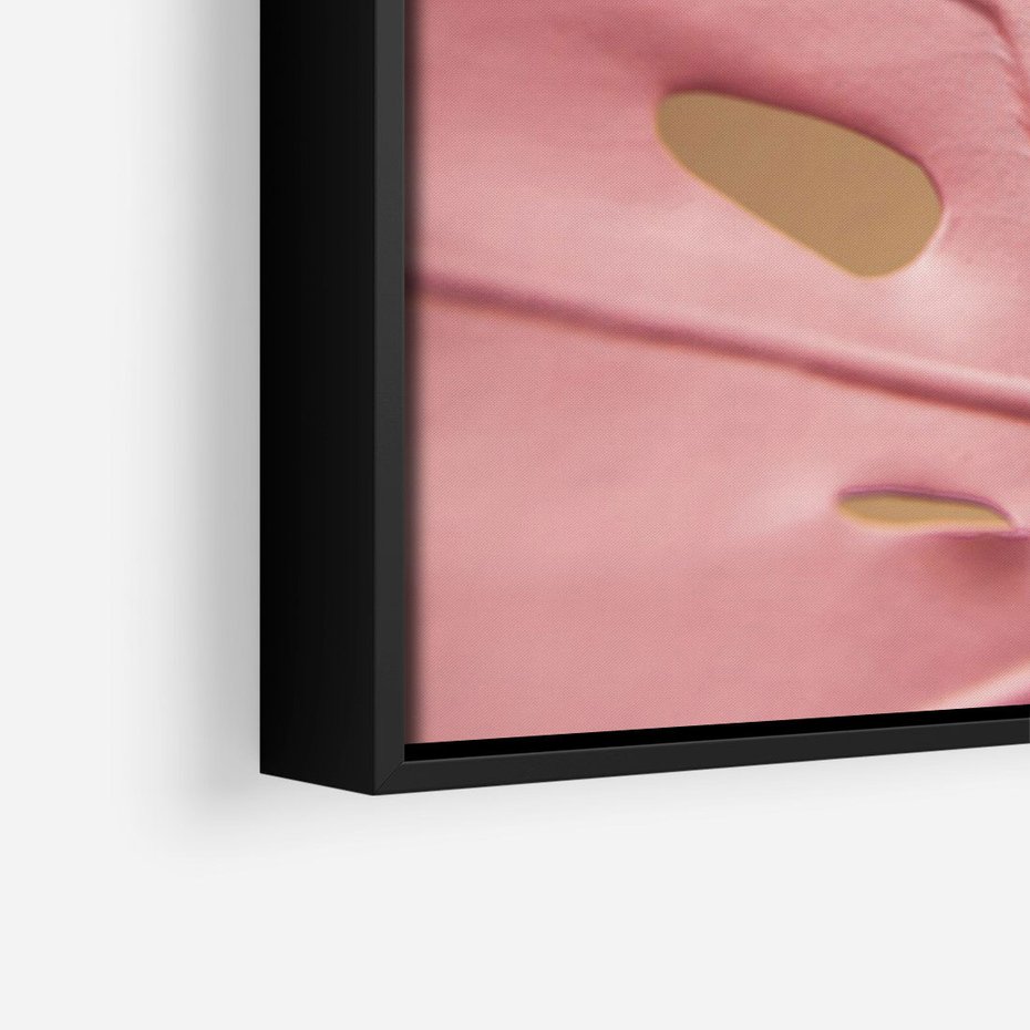 Obraz w ramie 70x100 - Różowa monstera w pełnym rozkwicie - różowa, monstera - rama czarna