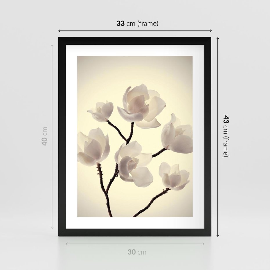 Plakat w ramie 30x40 - Elegancja Natury - magnolia, białe - rama czarna
