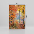 Obraz na płótnie 80x120 - Jesienny taniec lasu - jesień, las