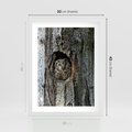 Plakat w ramie 30x40 - Tajemniczy W świecie Nocy - sowa, dziupla - rama biała