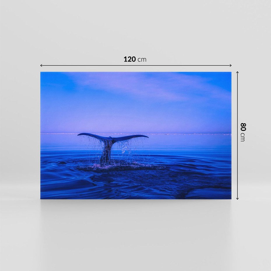 Obraz na płótnie 120x80 - Morze, fale i skały - wieloryb, morze