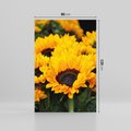Obraz na płótnie 80x120 - promień słoneczny w kwiatowym świecie - słoneczniki, kwiat