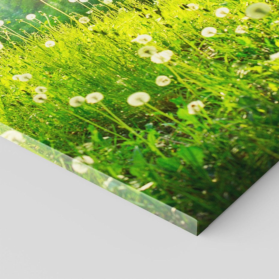 Obraz na płótnie 80x120 - Urok natury - magiczny las na płótnie - las, trawa