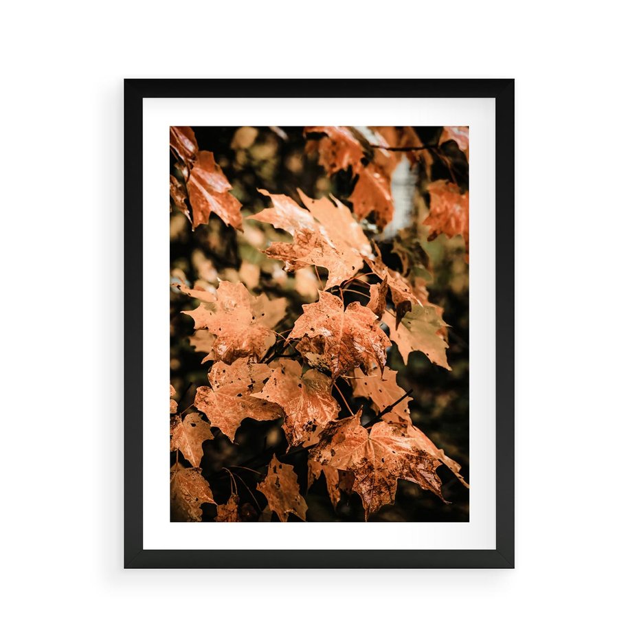 Plakat w ramie 40x50 - Ciepło Jesieni - jesienne pomarańczowe liśćie, jesień - rama czarna