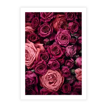 Plakat bez ramy 21x30 - Róże - piękno kwiatów - róże, kwiaty