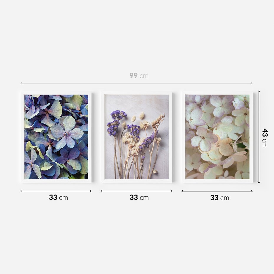 Zestaw obrazy w ramie 30x40 galeria - Suche, kwiaty, hortensje, boho - rama biała