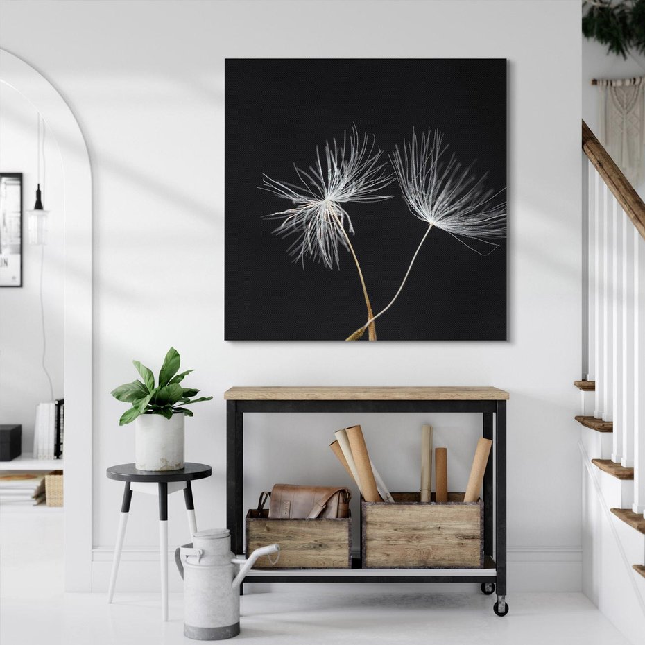 Obraz na płótnie 40x40 - Delikatność Wiatru - dmuchawce, makro