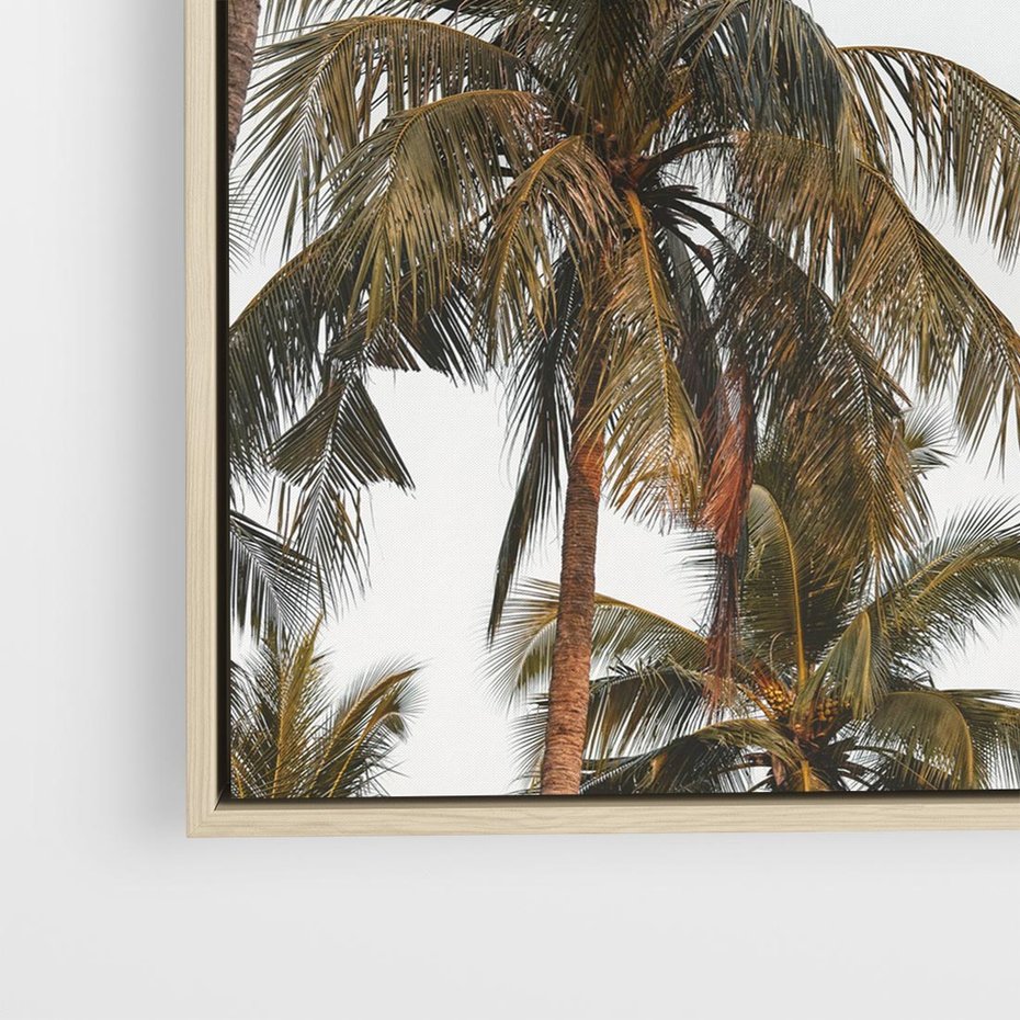 Obraz w ramie 50x50 - Palmy - tęsknota za Hawajami - palmy, Hawaje - rama drewno